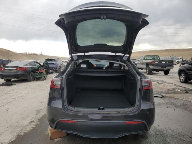 2025 Tesla Model Y