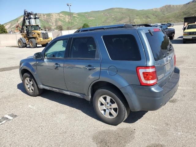 2011 Ford Escape Limited