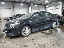 Salvage cars for sale at Ham Lake, MN auction: 2010 Toyota Corolla Base