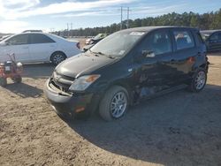 Salvage cars for sale at Greenwell Springs, LA auction: 2006 Scion XA