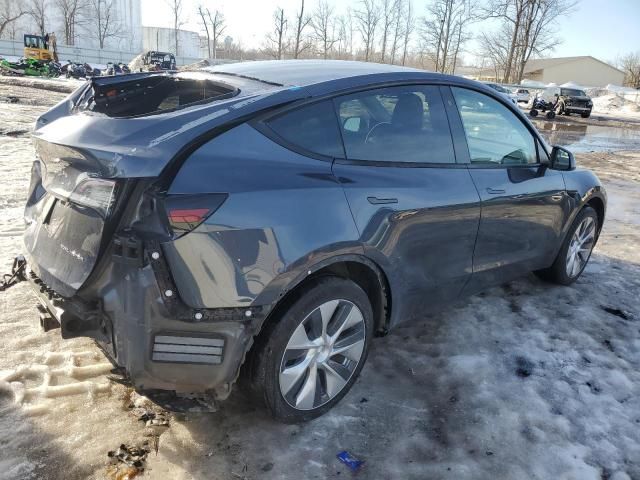 2020 Tesla Model Y