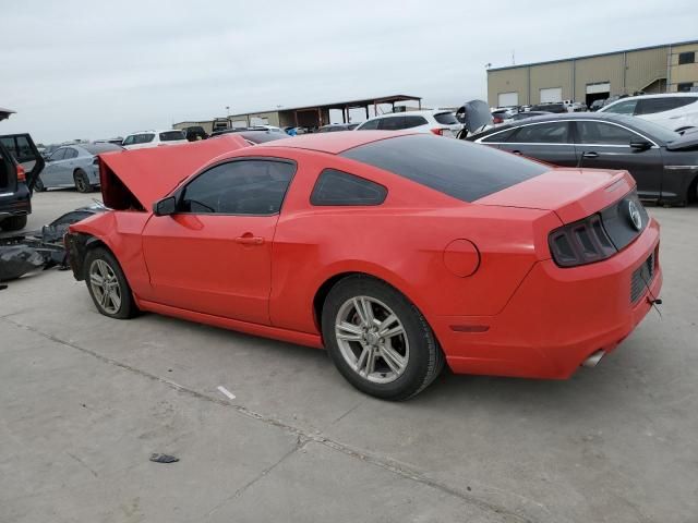 2014 Ford Mustang