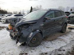 Ford salvage cars for sale: 2015 Ford Escape Titanium