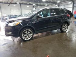 Salvage cars for sale at Ham Lake, MN auction: 2016 Ford Escape Titanium