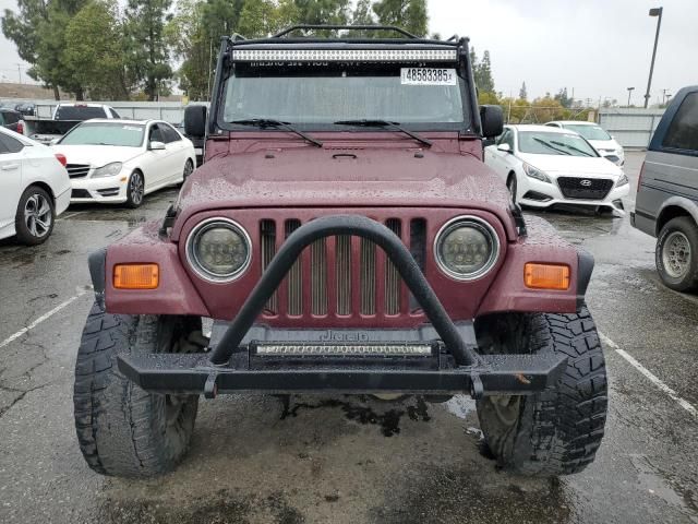 2001 Jeep Wrangler / TJ SE