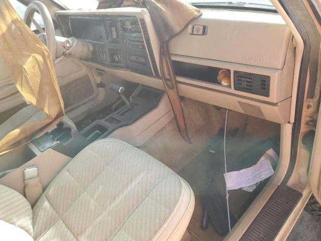 1989 Jeep Cherokee Pioneer