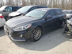 Hyundai salvage cars for sale: 2019 Hyundai Sonata SE