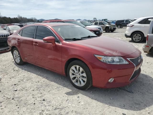 2013 Lexus ES 300H