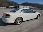 2003 Dodge Stratus SE