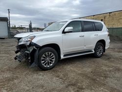 Salvage cars for sale at Laurel, MD auction: 2014 Lexus GX 460 Premium