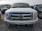 2013 Ford F150