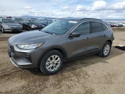 Salvage cars for sale at Helena, MT auction: 2024 Ford Escape Active