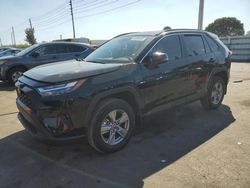 Salvage cars for sale at Miami, FL auction: 2025 Toyota Rav4 XLE