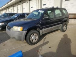 2002 Ford Escape XLS en venta en Louisville, KY