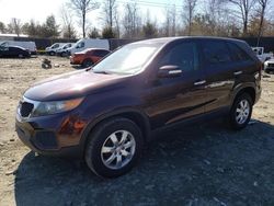 Salvage cars for sale at Waldorf, MD auction: 2011 KIA Sorento Base