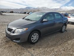 Salvage cars for sale at Magna, UT auction: 2010 Toyota Corolla Base