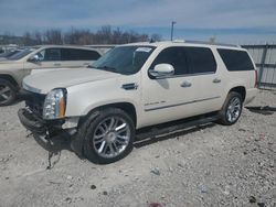 Salvage cars for sale at Lawrenceburg, KY auction: 2012 Cadillac Escalade ESV Platinum