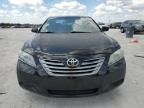 2009 Toyota Camry Hybrid