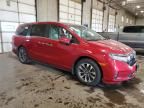 2023 Honda Odyssey EXL