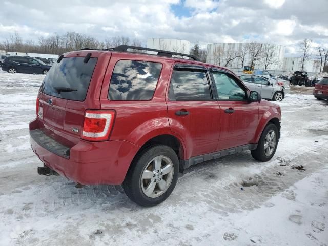 2010 Ford Escape XLT