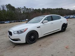 Salvage cars for sale at Seaford, DE auction: 2015 KIA K900