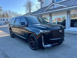 Cadillac Escalade salvage cars for sale: 2021 Cadillac Escalade ESV Premium Luxury