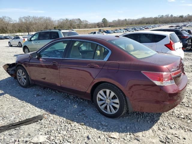 2011 Honda Accord EXL