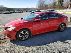 Salvage cars for sale at auction: 2016 Honda Civic EX