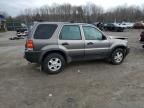 2002 Ford Escape XLT