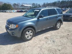 Salvage cars for sale at Charles City, VA auction: 2010 Ford Escape XLT