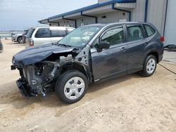 Salvage cars for sale at Temple, TX auction: 2023 Subaru Forester