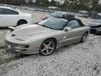 2002 Pontiac Firebird Trans AM