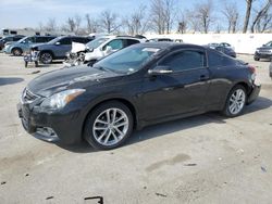 Salvage cars for sale at Bridgeton, MO auction: 2010 Nissan Altima SR