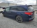 2021 Honda Odyssey Elite