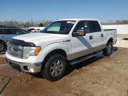 Salvage cars for sale at Louisville, KY auction: 2013 Ford F150 Supercrew