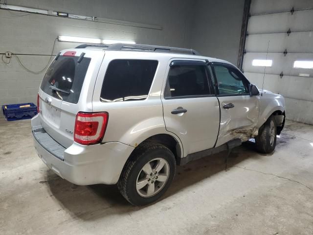 2009 Ford Escape XLT