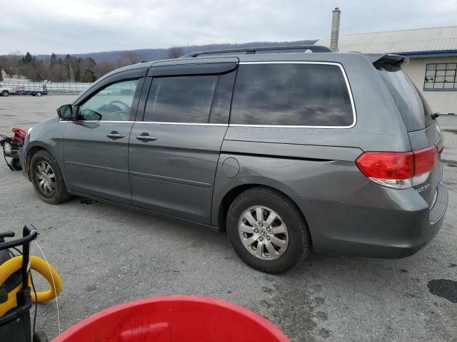 2008 Honda Odyssey EXL