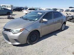 Toyota Corolla Vehiculos salvage en venta: 2014 Toyota Corolla L