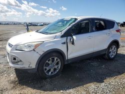 Salvage cars for sale at San Diego, CA auction: 2013 Ford Escape SEL