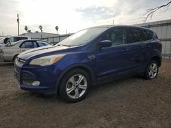 Salvage SUVs for sale at auction: 2014 Ford Escape SE