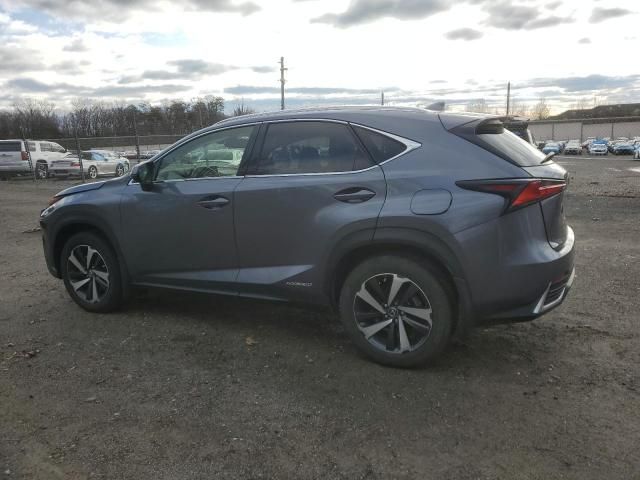 2020 Lexus NX 300H