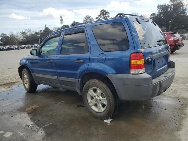 2007 Ford Escape XLT