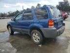 2007 Ford Escape XLT