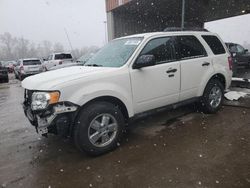 Salvage cars for sale at Fort Wayne, IN auction: 2010 Ford Escape XLT