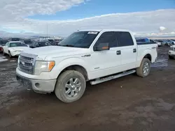 Salvage cars for sale at Helena, MT auction: 2014 Ford F150 Supercrew