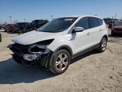 Salvage cars for sale at Indianapolis, IN auction: 2016 Ford Escape SE