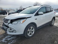 Salvage cars for sale at London, ON auction: 2015 Ford Escape SE