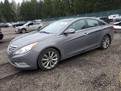 Hyundai Sonata se Vehiculos salvage en venta: 2012 Hyundai Sonata SE