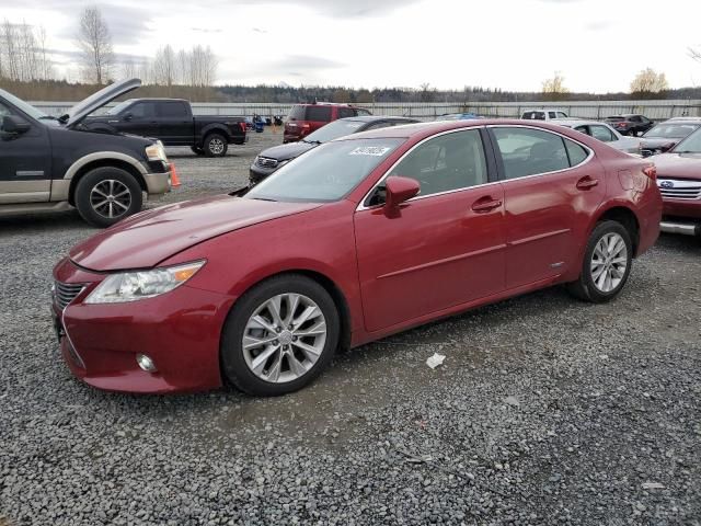 2014 Lexus ES 300H