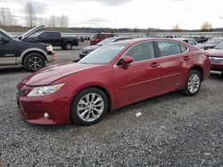 2014 Lexus ES 300H en venta en Arlington, WA